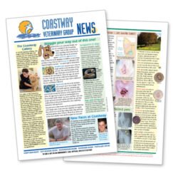 Newsletters